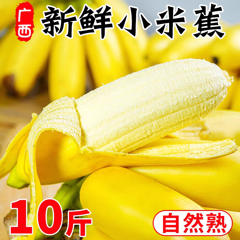 广西小米蕉西贡蕉自然成熟精品大香蕉