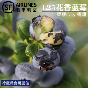 云南自然熟L25花香蓝莓 顺丰空运 香甜孕妇水果新鲜现摘蓝莓礼盒装