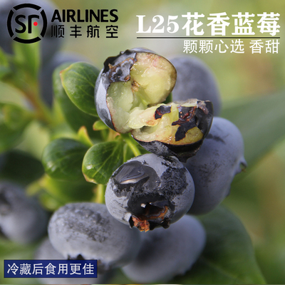 云南自然熟L25花香蓝莓 香甜孕妇水果新鲜现摘蓝莓礼盒装顺丰空运