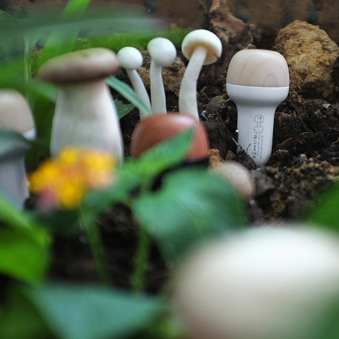 chargeur 2.1A, 2A - Ref 1294667 Image 3