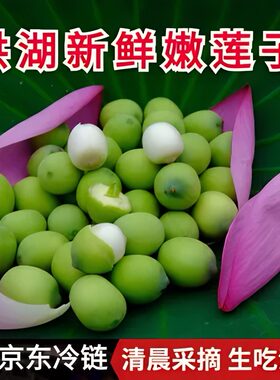 3斤洪湖新鲜莲蓬现摘京东冷链新鲜太空水果莲蓬莲蓬嫩莲蓬莲子