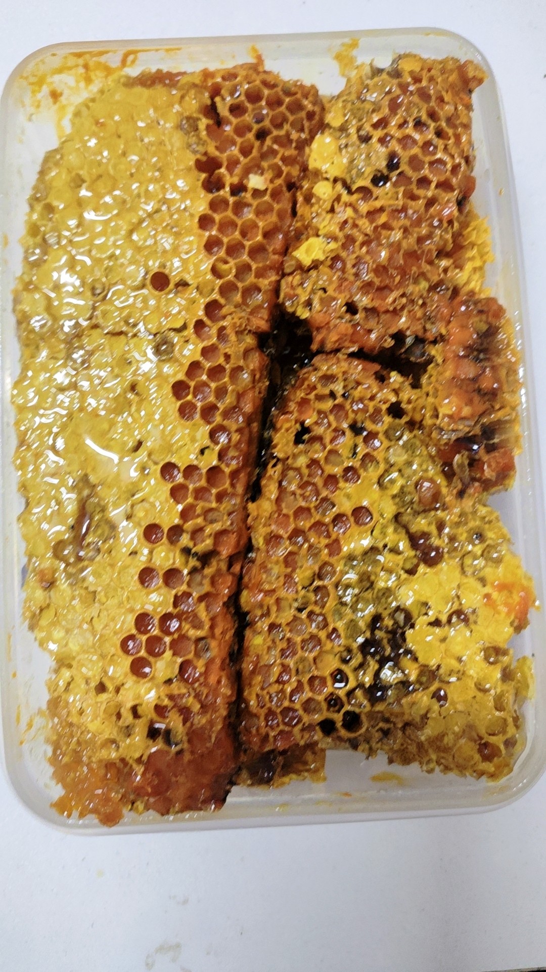 花粉巢块野生蜂巢蜜带花粉蜂巢蜜嚼着吃纯正天然老巢蜜野生蜂巢