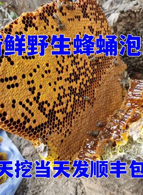 新鲜蜂蛹泡酒野生蜜蜂巢泡酒蜂窝渣蜜泡酒蜂窝房带有花粉泡酒中蜂