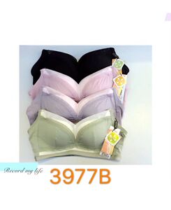 贝尔妮芬2018春季时尚新款——3977B杯