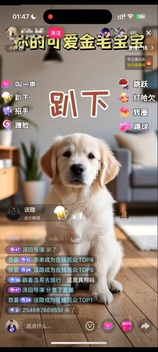 Ai宠物猫狗仓鼠直播电子宠物直播2026新赛道某音无人直播工具