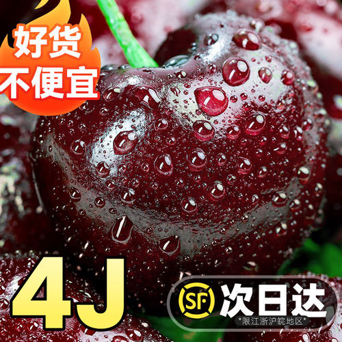 大连美早大樱桃车厘子新