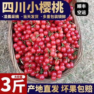 水果土樱桃甜水晶樱桃顺丰空运 四川小樱桃米易樱桃孕妇新鲜当季