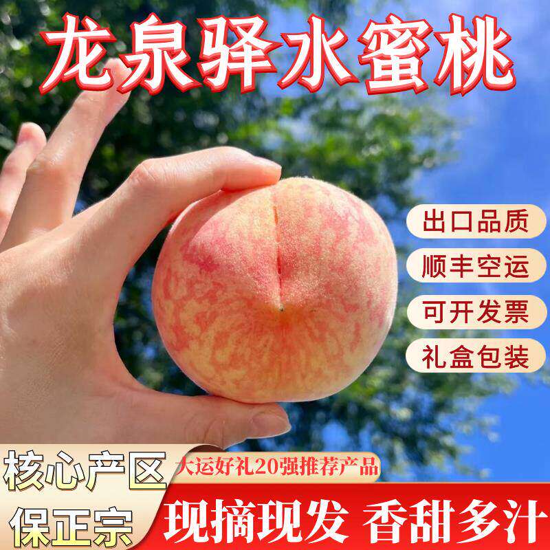 正宗四川龙泉驿水蜜桃小
