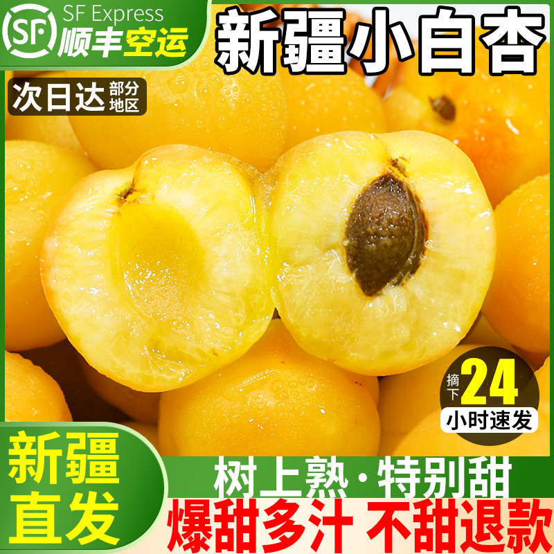 新疆头茬小白杏5斤新鲜水果当季轮台库甜杏子小红杏孕妇整箱包邮