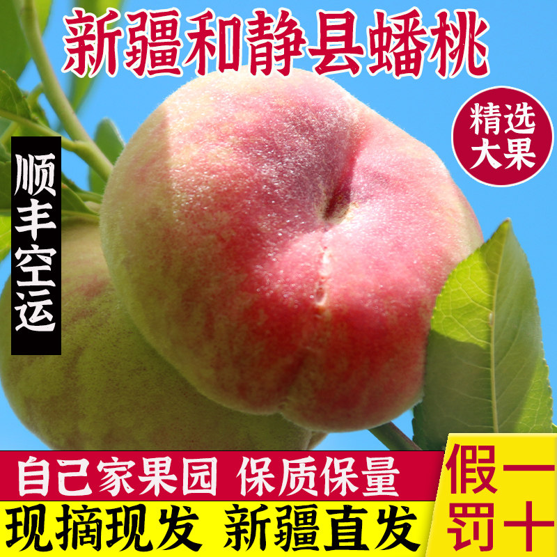 新疆蟠桃和静县毛水果新