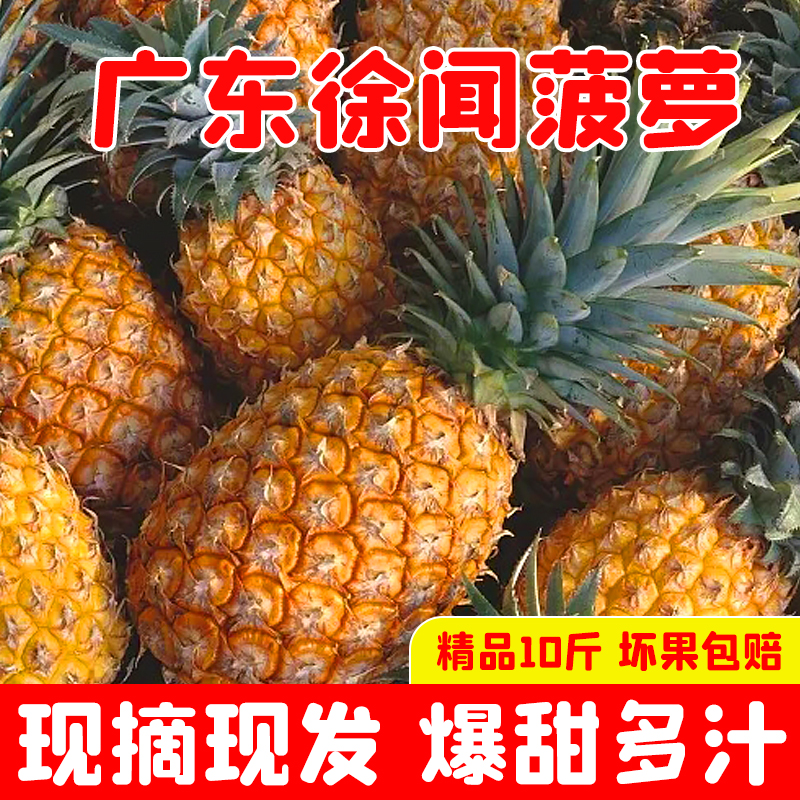 徐闻菠萝10斤5斤3斤整箱新鲜水果香水小菠萝当季手撕凤梨大果包邮