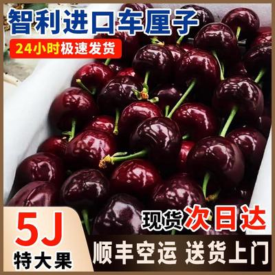 樱桃车厘子新鲜水果包邮