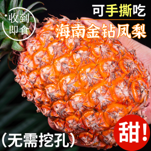 海南金钻凤梨新鲜水果应当季 整箱特产10香水芒果菠萝风梨砖