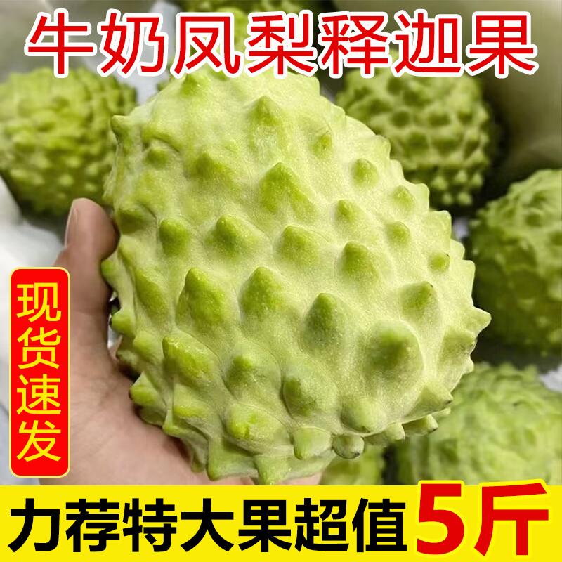 云南当季释迦果礼盒5斤新