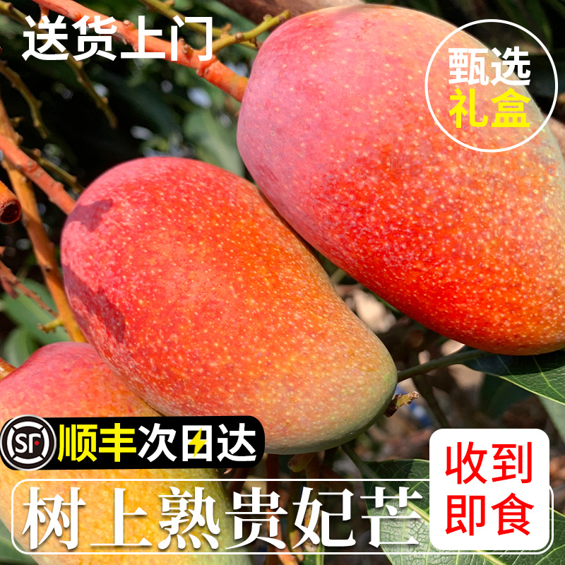 顺丰海南树上熟贵妃芒果8斤新鲜大果红金龙自然熟水果当季整箱10