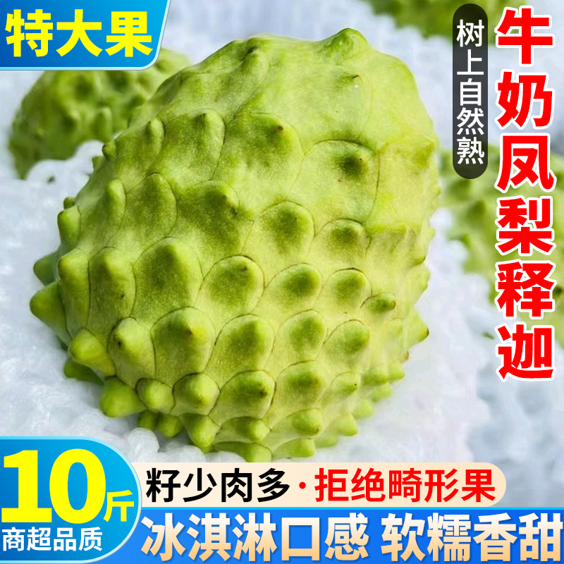 树上熟 10斤广东凤梨释迦果新鲜牛奶大目番荔枝水果现摘林檎包邮9