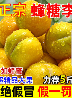 现货正宗蜂糖李脱骨李子