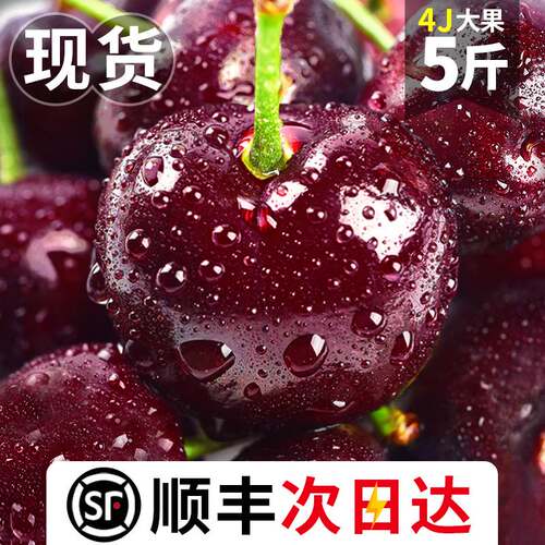 美国车厘子新鲜水果包邮5斤