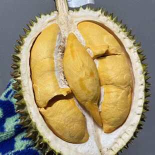 【软金月榴莲】A果泰国稀有品种软金月暖通赞4-5斤味道超浓郁丝滑
