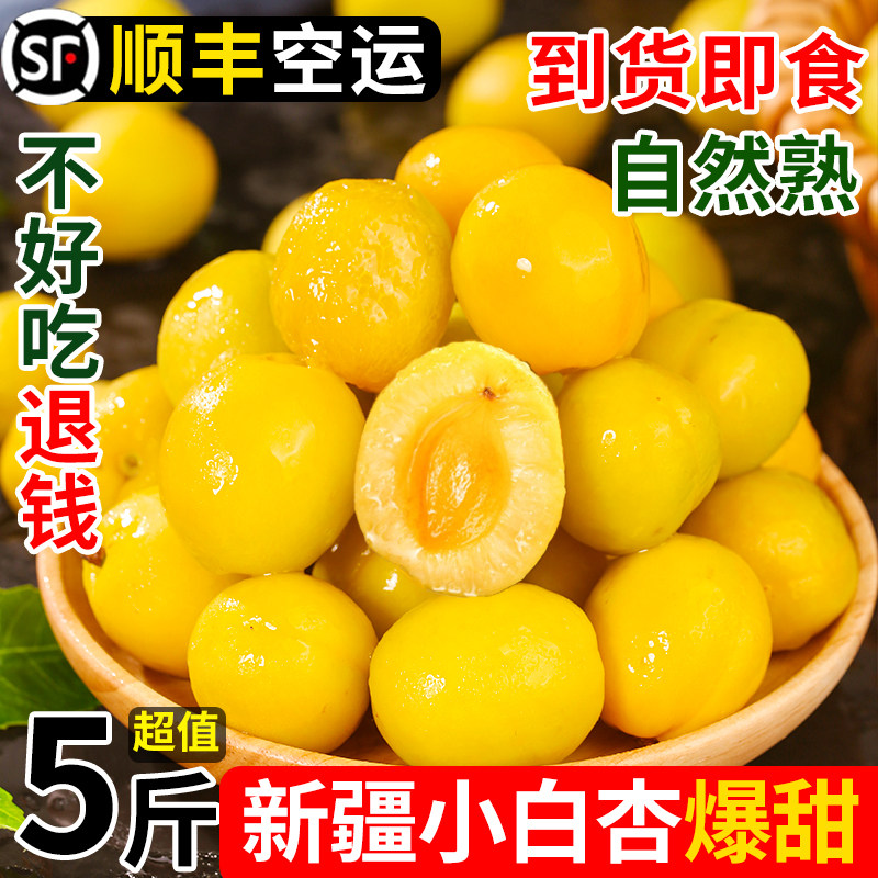 新疆小白杏轮台新鲜水果库车白杏子甜杏特产当季整箱胜小红杏顺丰