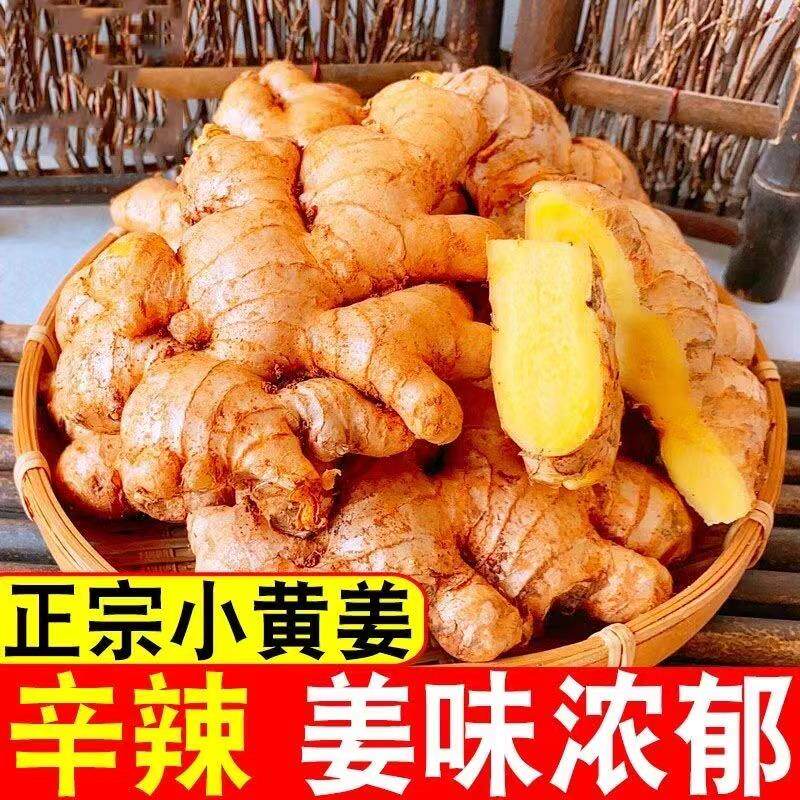 云南小黄姜10斤老姜新鲜老姜