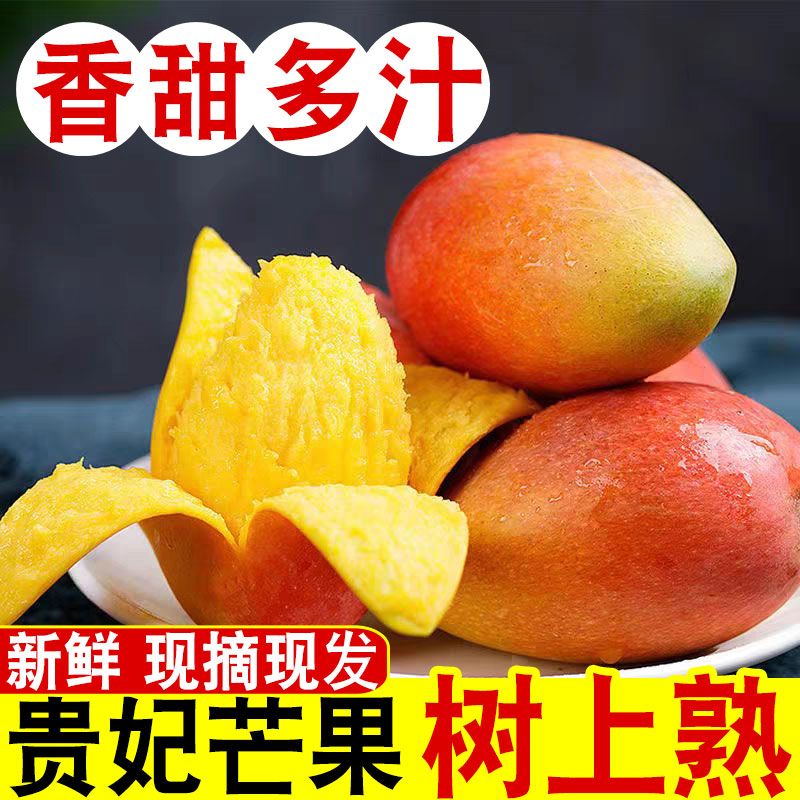 海南新鲜贵妃芒芒果10斤水果当季整箱树上熟红金玉青煌大台辣椒芒