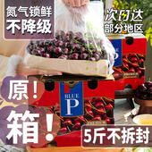 智利原箱车厘子5斤礼盒装 新鲜水果3j特大当季 整箱进口樱桃