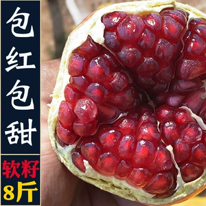 [现货 会理突尼斯软籽石榴一级果精品果凉山红甜新鲜水果整箱包邮]