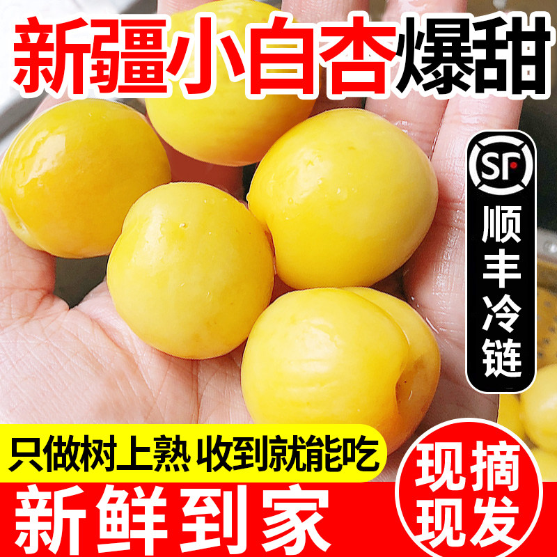 新疆轮台小白杏 阿克苏吊干杏新鲜水果当季整箱库车甜杏子小红杏