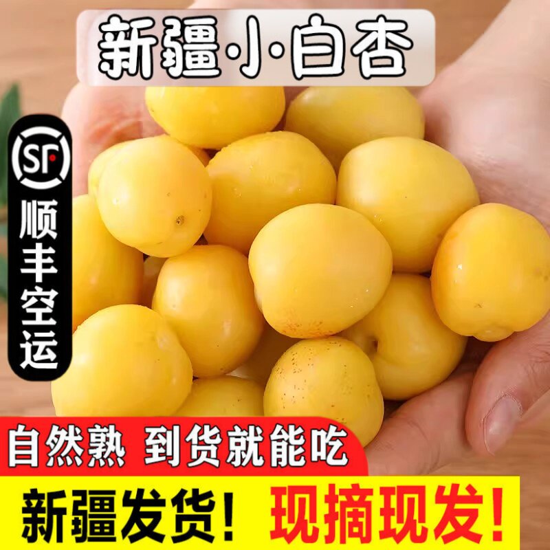 新疆小白杏新鲜水果轮台库车白杏子甜杏特产胜小红杏当季整箱顺丰