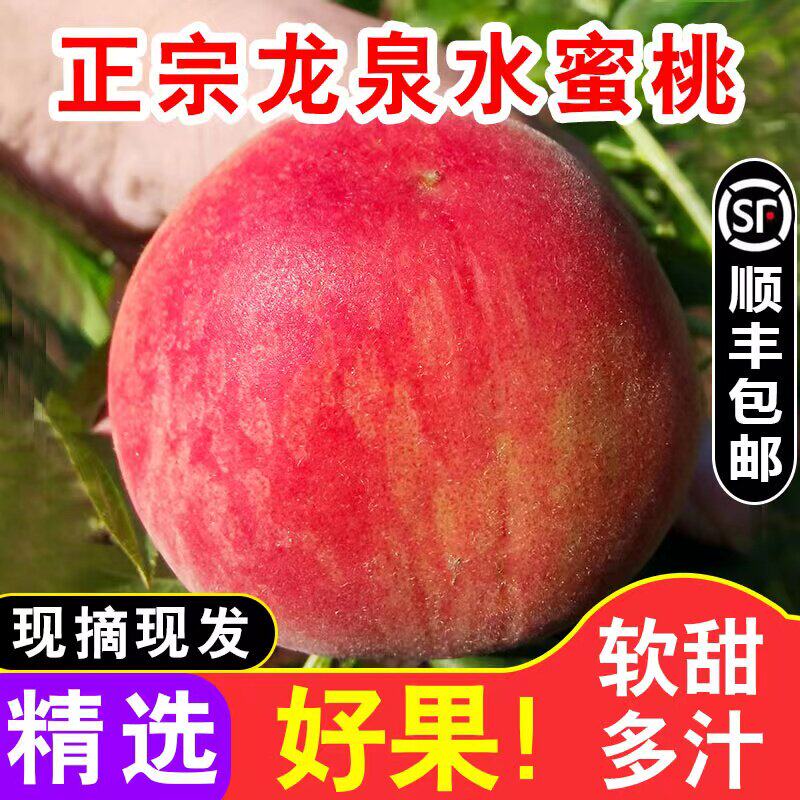 正宗四川成都龙泉驿区水
