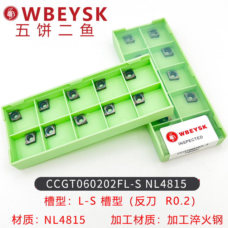 CCGT060202/04L-SNL4815