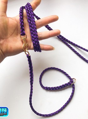 5mm红色黑色新款黄色紫色柔软圆形比赛牵引绳柯基犬遛狗训犬p链