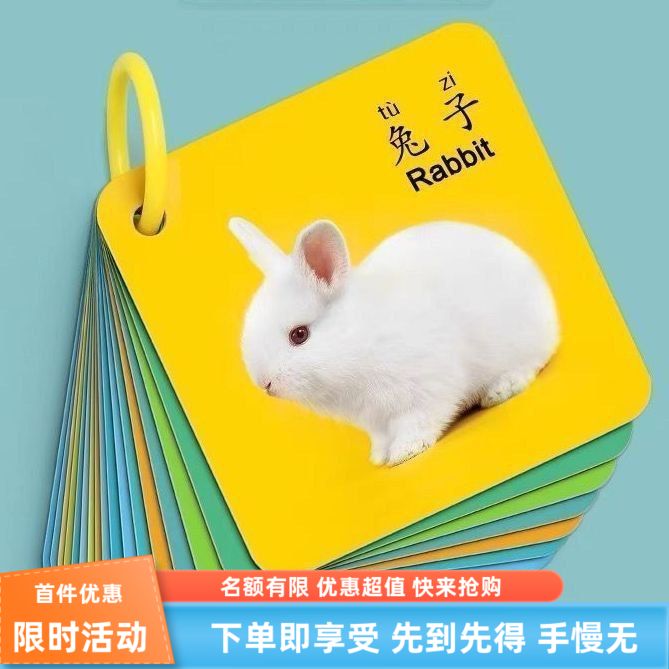 卡动物片益智玩具认知卡有图双面