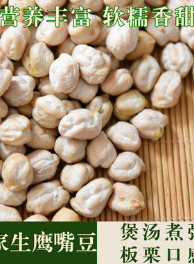 鹰嘴豆新疆鹰嘴豆精挑饱满粗粮