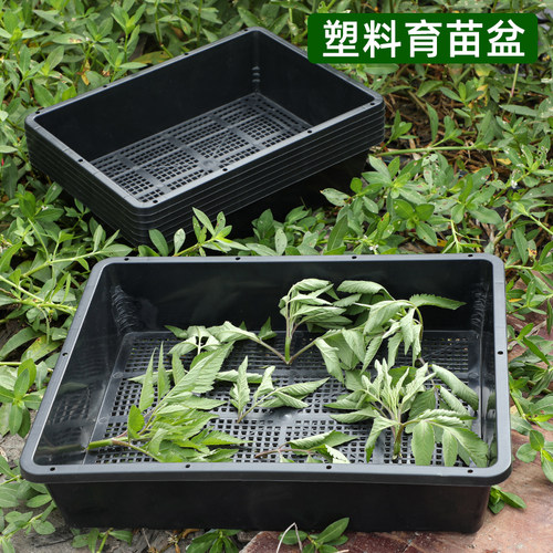 加厚多肉塑料框长方形育苗盘