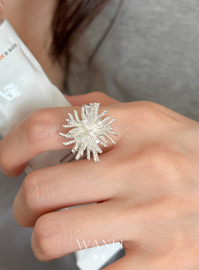 挽里烟花闪钻耳环项链戒指精致夏天女款2025新款设计感夸张高级感