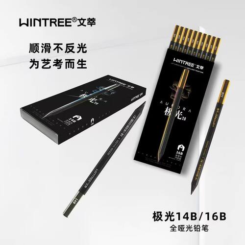 文萃极光14B16B全哑光铅笔素描速写工具套装碳笔全碳碳墨碳铅软炭