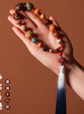 十八籽手串十八子多宝菩提手持车挂本命年护身符男女文玩手持佛珠