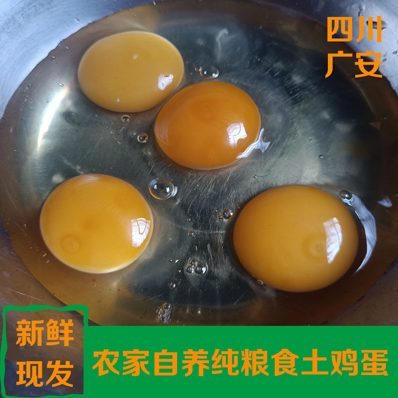 四川广安土鸡蛋正宗农家散养新鲜纯粮柴鸡蛋孕妇小孩首选鸡蛋重庆