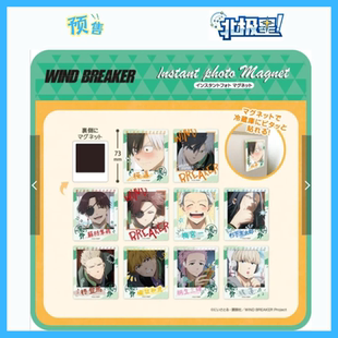 国内现货 WIND BREAKER 防风铃 名场面拍立得风 冰箱贴 周边