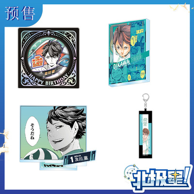 预定订金 排球少年 及川彻 2025生日谷 JCS 周边