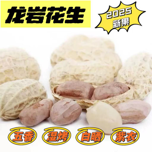 龙岩花生湿烤500g五香酥脆