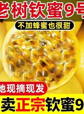 整箱正宗广西黄金海南百香果钦蜜黄色当季新鲜水果孕妇应季水果