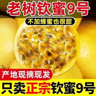 整箱正宗广西黄金海南百香果钦蜜黄色当季新鲜水果孕妇应季水果