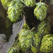 法国 啤酒花精油 2月预团测试链接许诺言 雌球果 有机蛇麻草