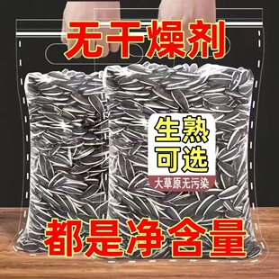 内蒙古生瓜子葵花籽新货2025年正宗葵花瓜子新鲜原味瓜子零食