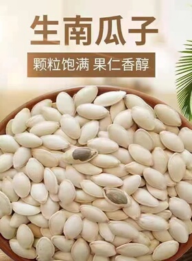 2025年新货生南瓜子中大片带壳美人甲南瓜籽仁内蒙古原味炒货盐焗