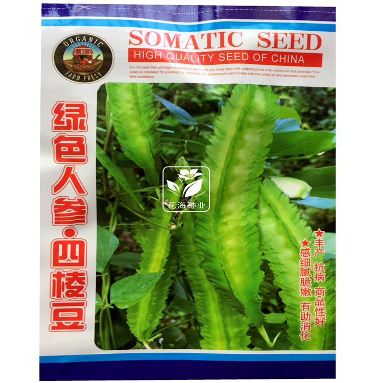綠色人參四棱豆種子補血美容補鈣補鋅奇跡植物種子四季易種豆種子