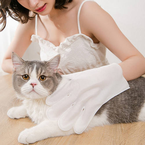 宠物免洗手套狗狗杀菌除臭湿纸巾狗狗干洗清洁手套猫咪洗澡
